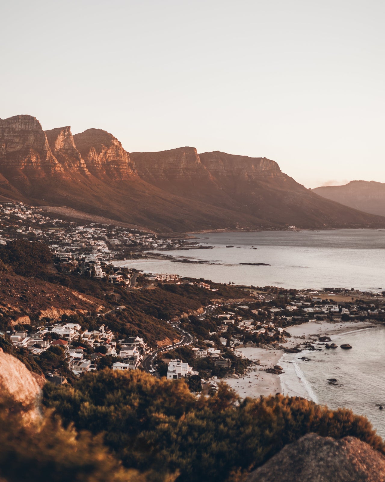 Cape Town Heat & Safari Dreams