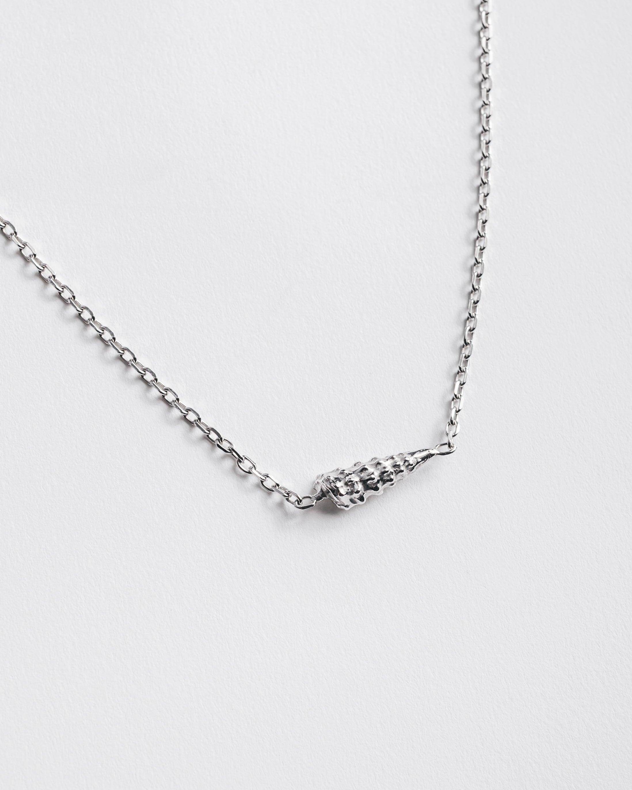 The Shell Necklace