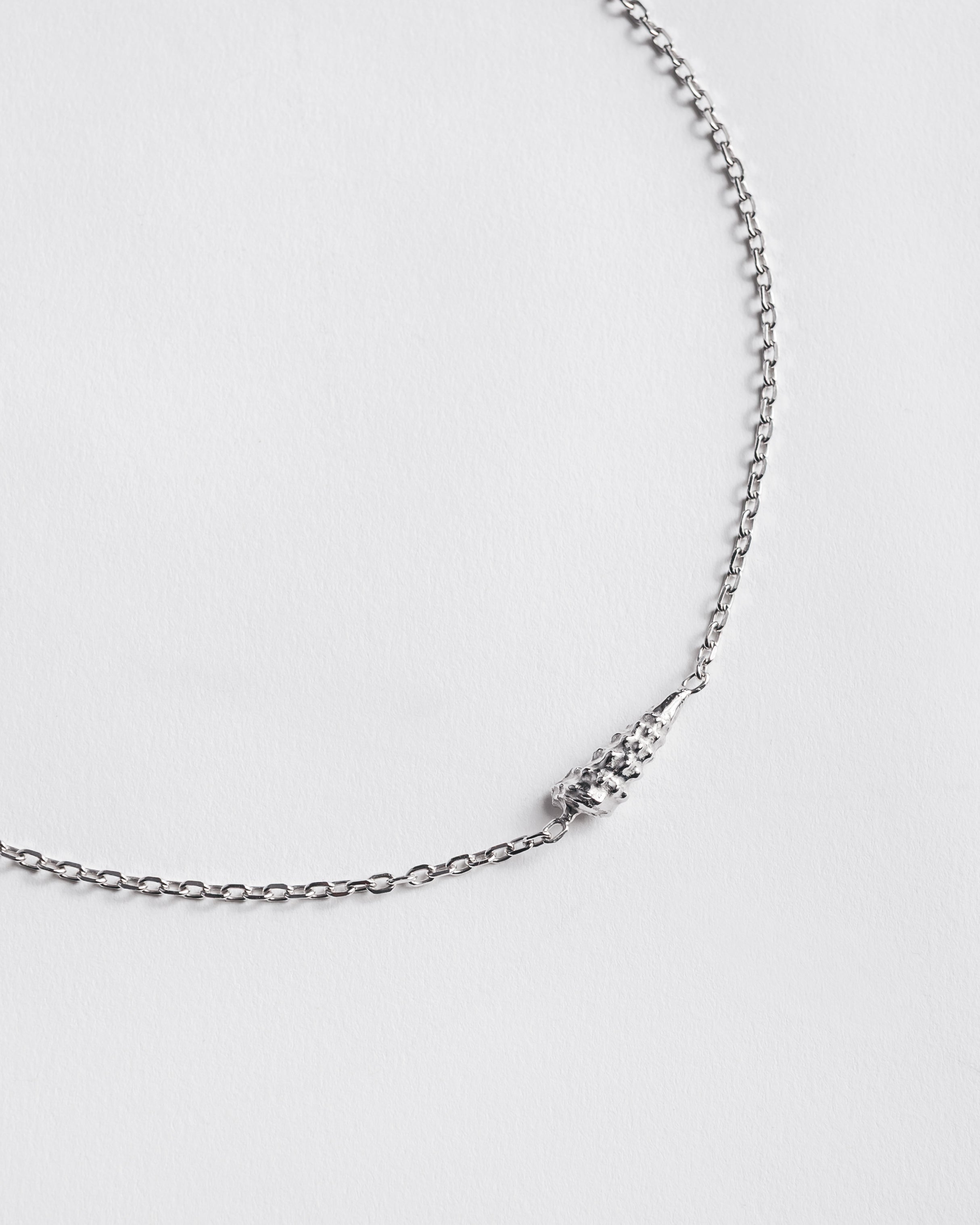 The Shell Necklace