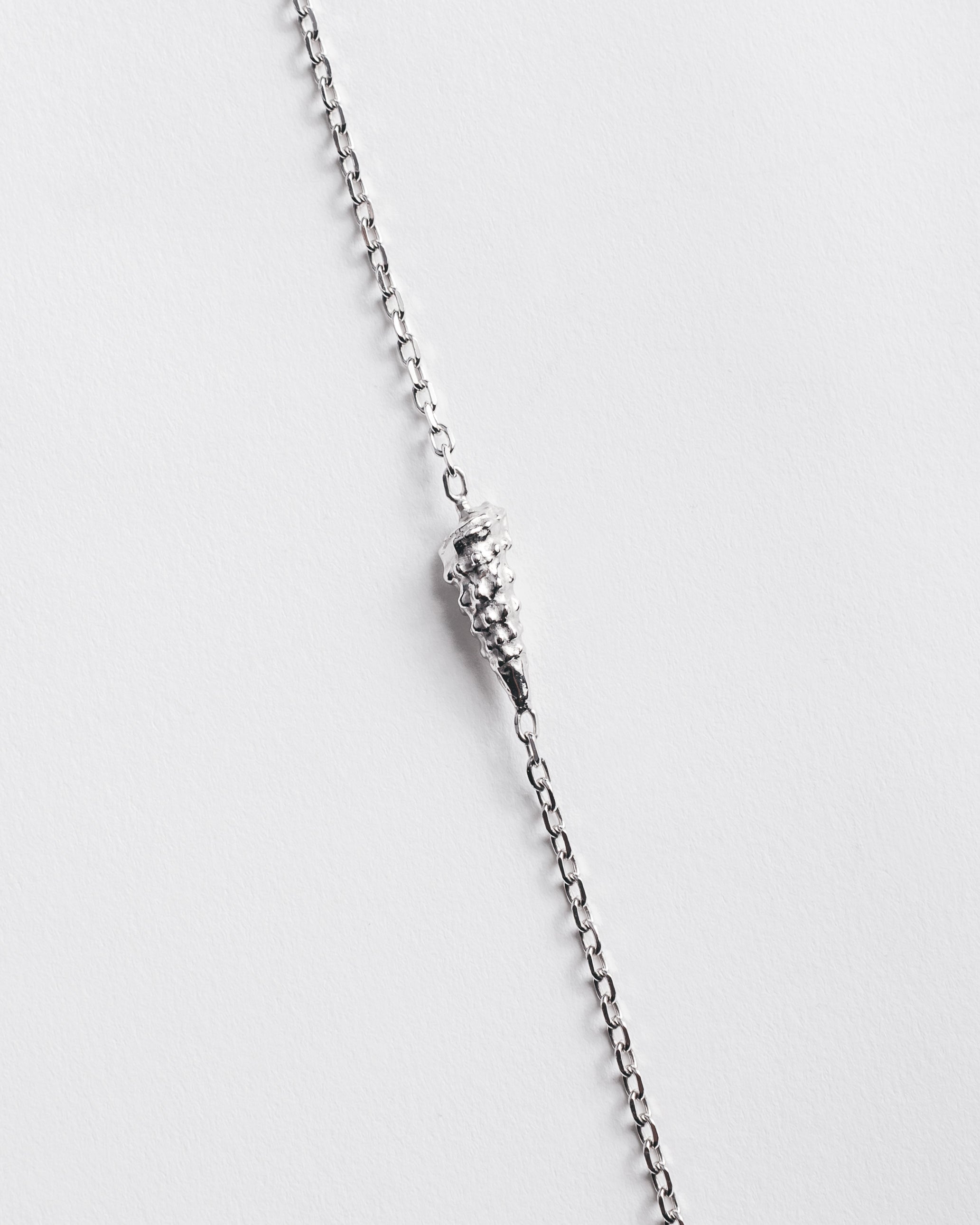 The Shell Necklace