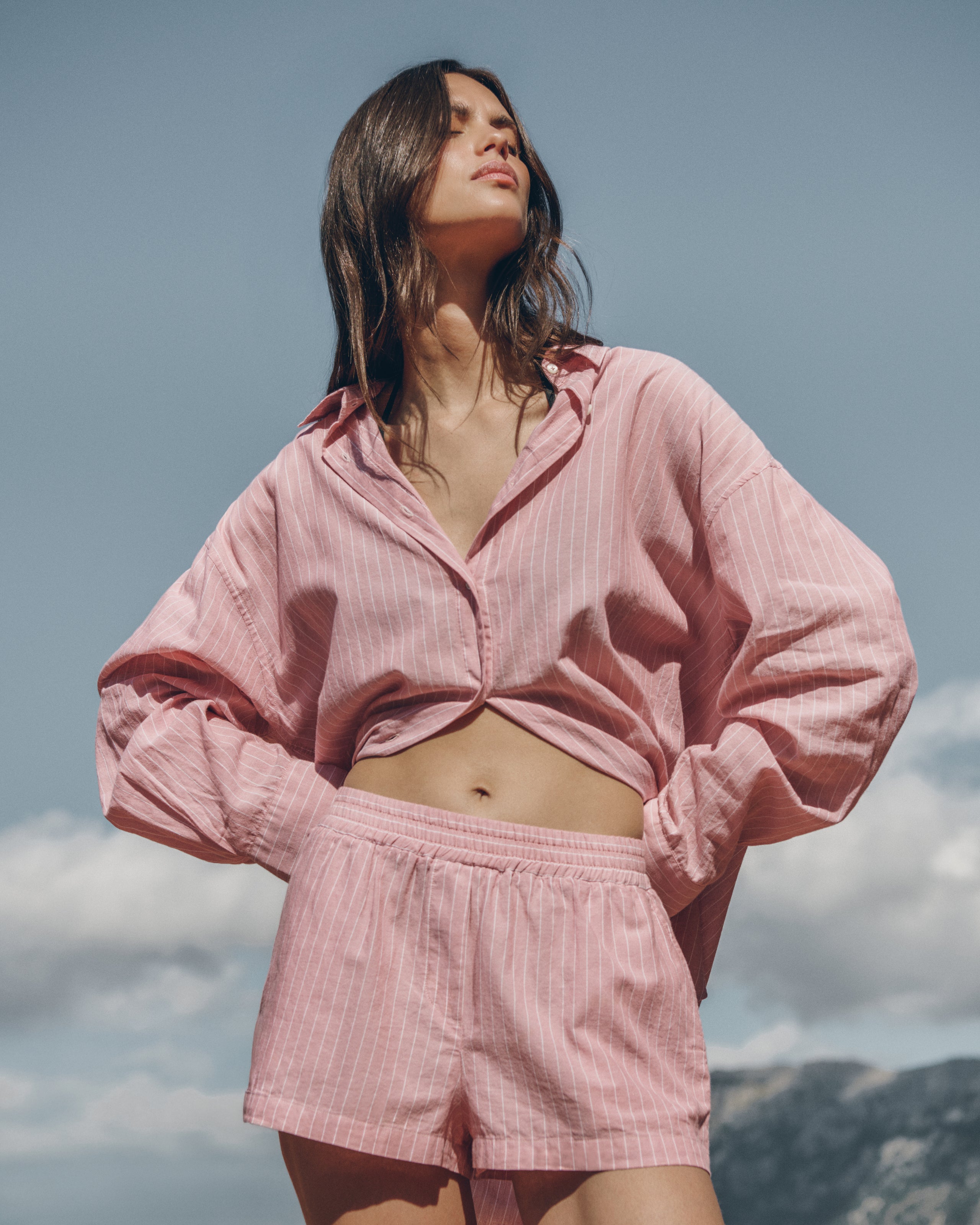 The Pink Striped Shirt